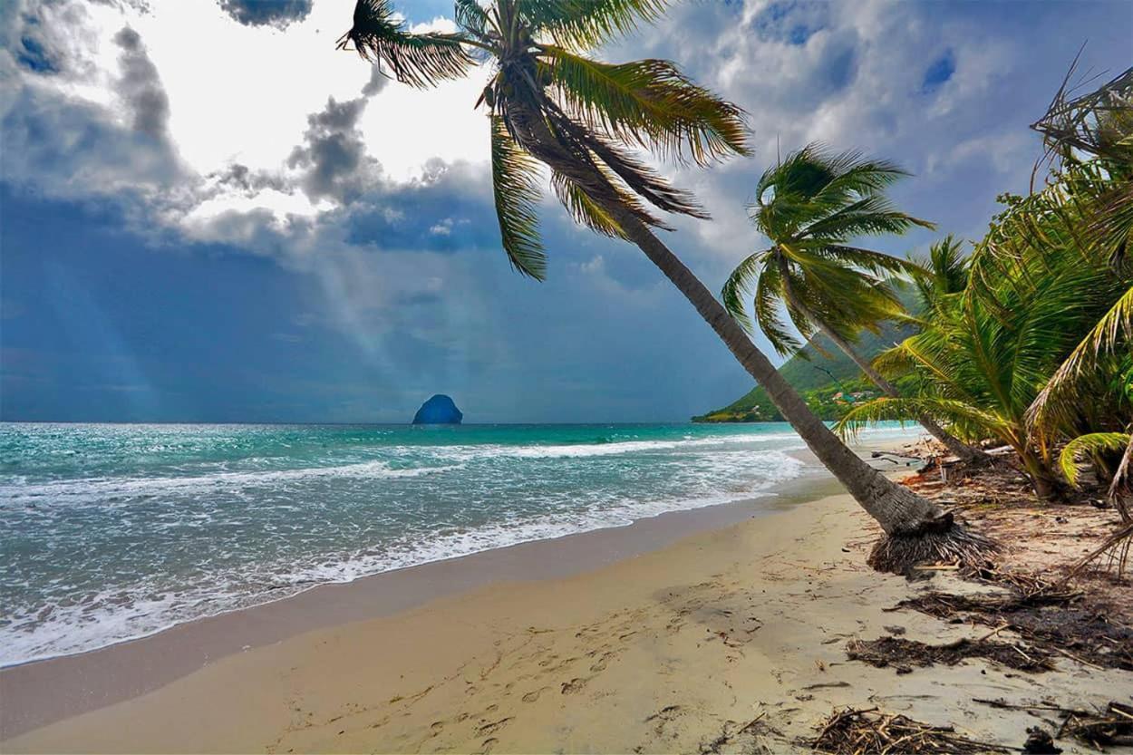 Malilia Beach A Sainte-Anne - Wifi -5 Min A Pied De La Plage Esterno foto